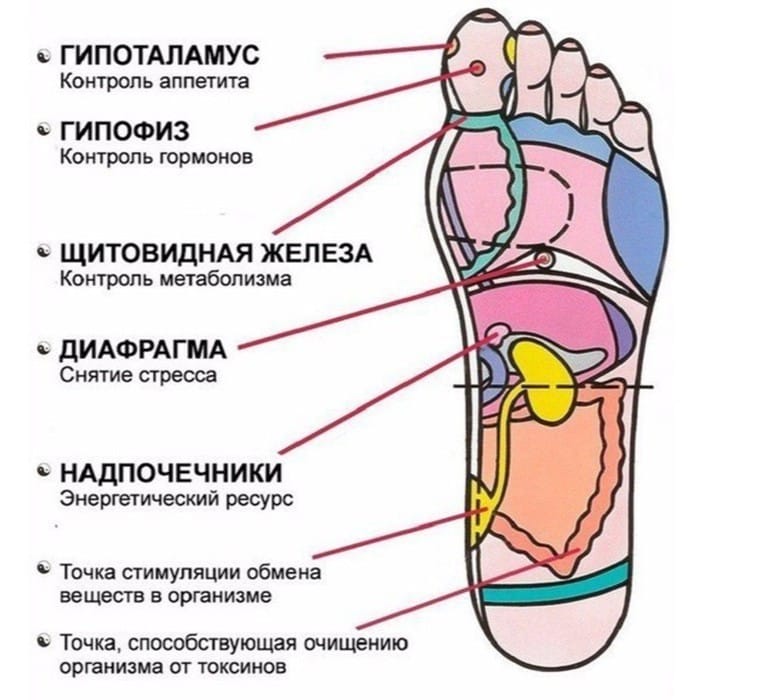 7 точек на стопе, которые вернут вам жизненную активность 7 точек на стопе, которые вернут вам жизненную активность