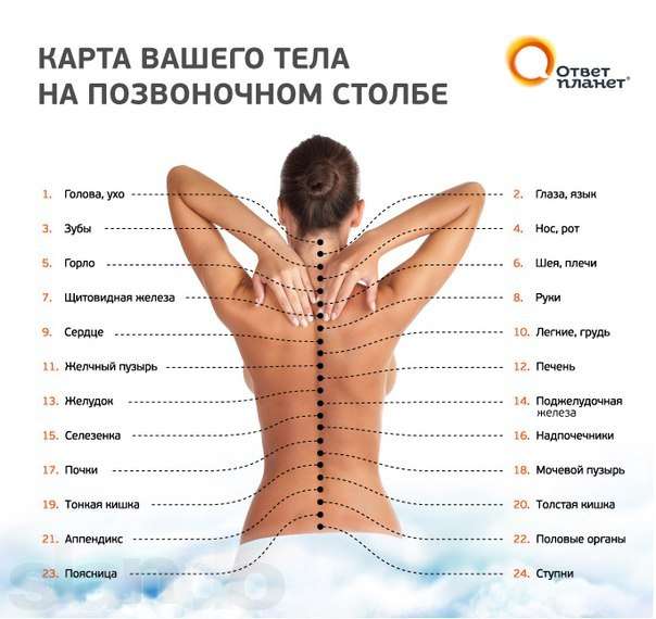 Кацудзо Ниши — 6 простых правил для Вашего здоровья Кацудзо Ниши — 6 простых правил для Вашего здоровья