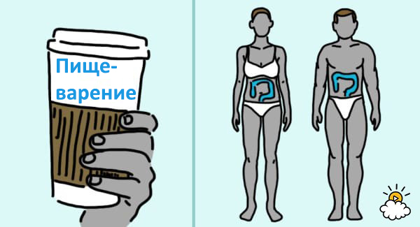 Я даже не догадывался, что делают с моим телом 3 чашки кофе в день! Я даже не догадывался, что делают с моим телом 3 чашки кофе в день!