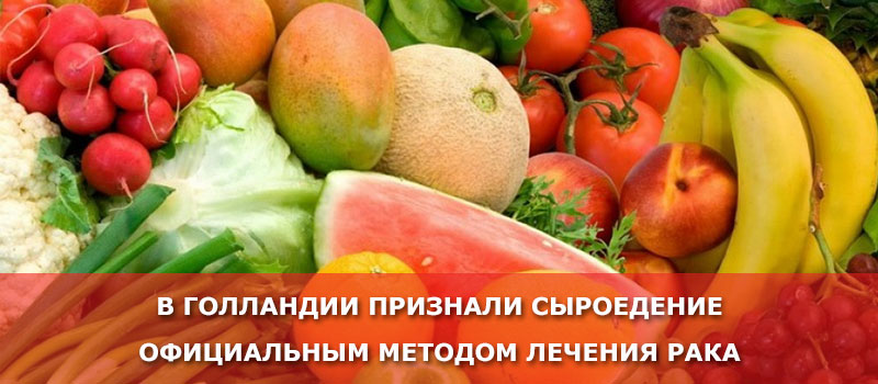 В Голландии признали сыроедение официальным методом лечения рака В Голландии признали сыроедение официальным методом лечения рака