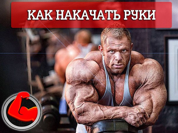 Наращиваем мышечную массу рук: 8 правил Наращиваем мышечную массу рук: 8 правил