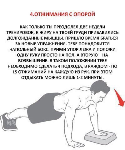 Качаем грудь без гантелей и штанги: 6 самых эффективных упражнений