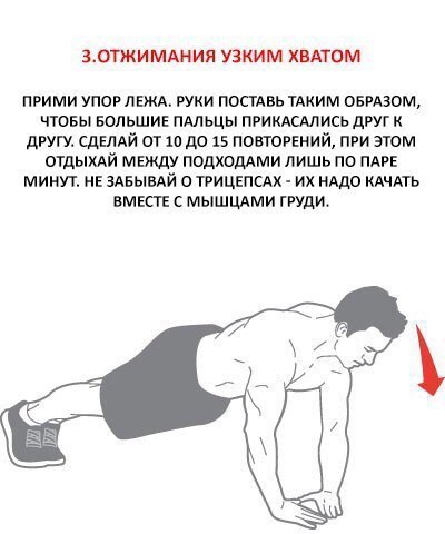 Качаем грудь без гантелей и штанги: 6 самых эффективных упражнений