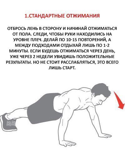 Качаем грудь без гантелей и штанги: 6 самых эффективных упражнений