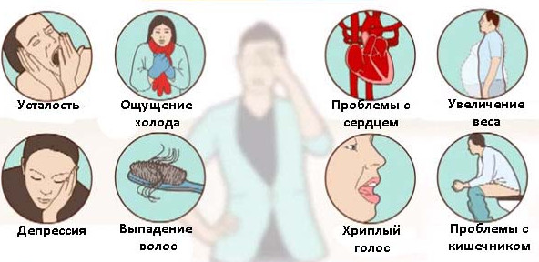 Щитовидная железа контролирует весь ваш организм! Вот как сохранить ее здоровой! Щитовидная железа контролирует весь ваш организм! Вот как сохранить ее здоровой!
