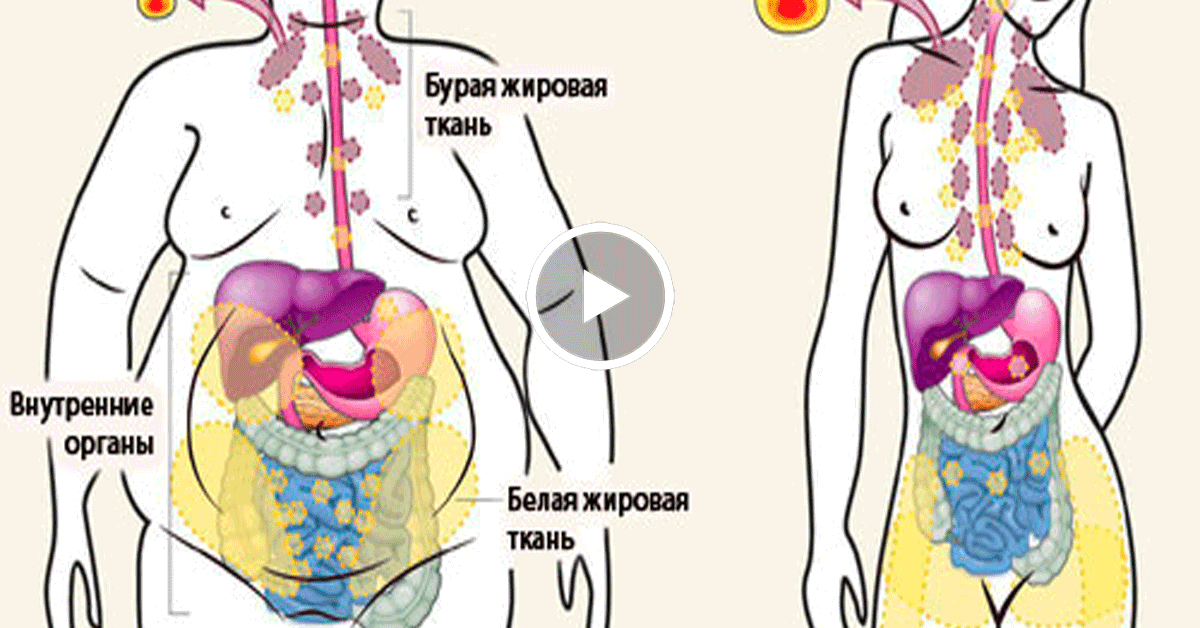Внимание! Это простое аптечное средство поможет вам быстро сбросить лишние килограммы! Внимание! Это простое аптечное средство поможет вам быстро сбросить лишние килограммы!