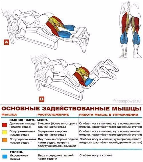 Основные упражнения для прокачки ног - Советы для женщин