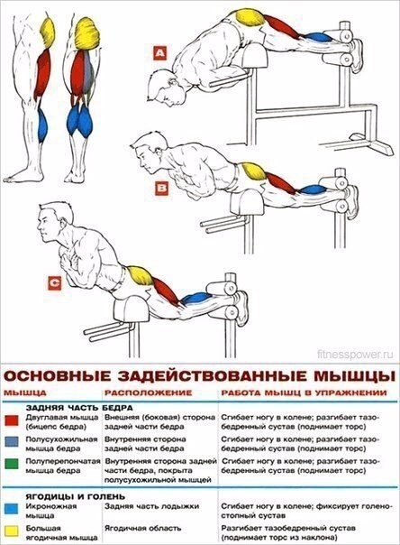 Основные упражнения для прокачки ног