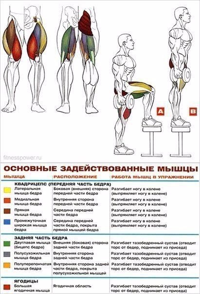 Основные упражнения для прокачки ног - Советы для женщин