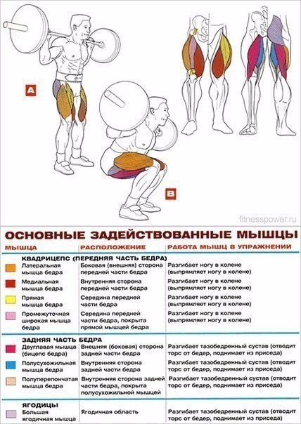 Основные упражнения для прокачки ног