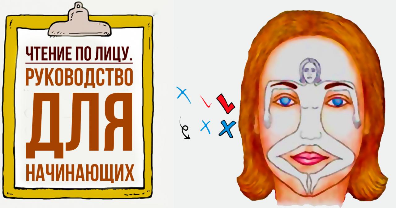 Лицо прочесть