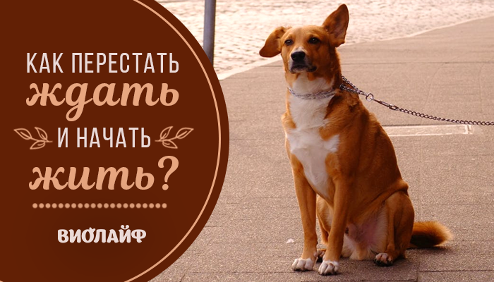 Как перестать ждать бывшего. Как перестать ждать и начать работу.