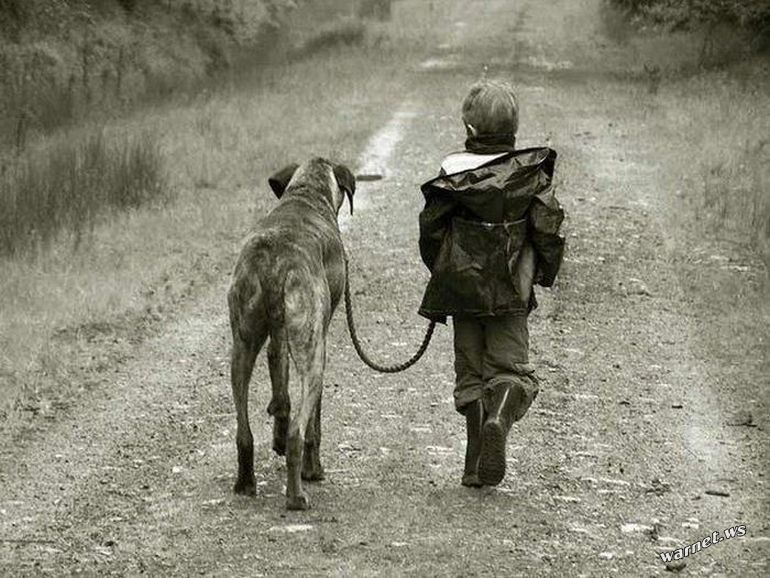Идя рядом с собакой. Мальчик с собакой. Прогулка с собакой. Человек идет с собакой.