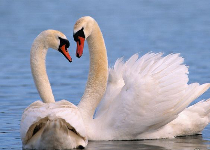 Когда ты перестаешь любить того, с кем думала провести всю жизнь! Когда ты перестаешь любить того, с кем думала провести всю жизнь!