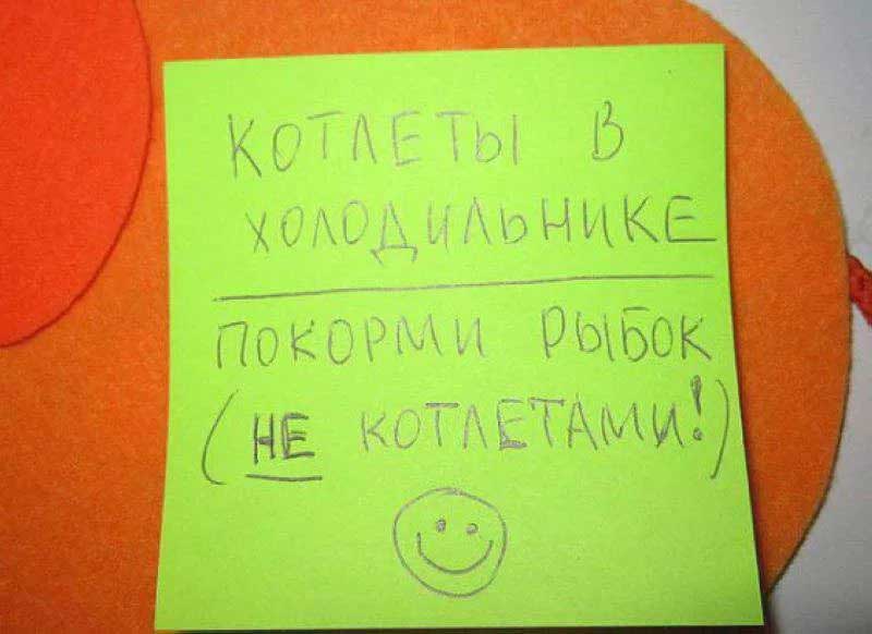 10 лучших записок с женской логикой 10 лучших записок с женской логикой